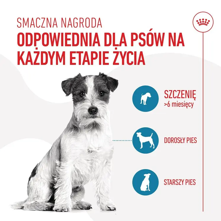 Dog Snack Royal Canin Training Treats 110 g