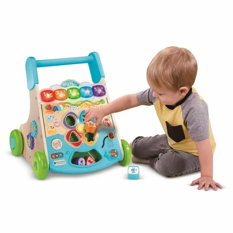 Tricycle Vtech Blue
