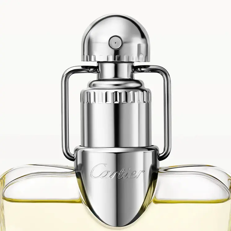 Men's Perfume Cartier Déclaration EDT 100 ml