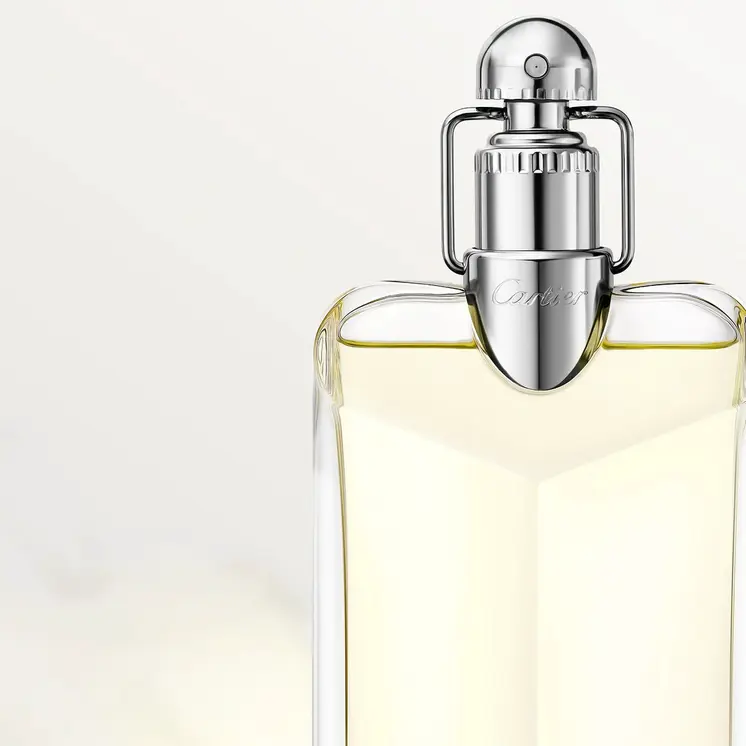 Men's Perfume Cartier Déclaration EDT 100 ml