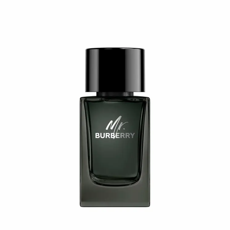Men's Perfume Burberry Mr. Burberry 100 ml