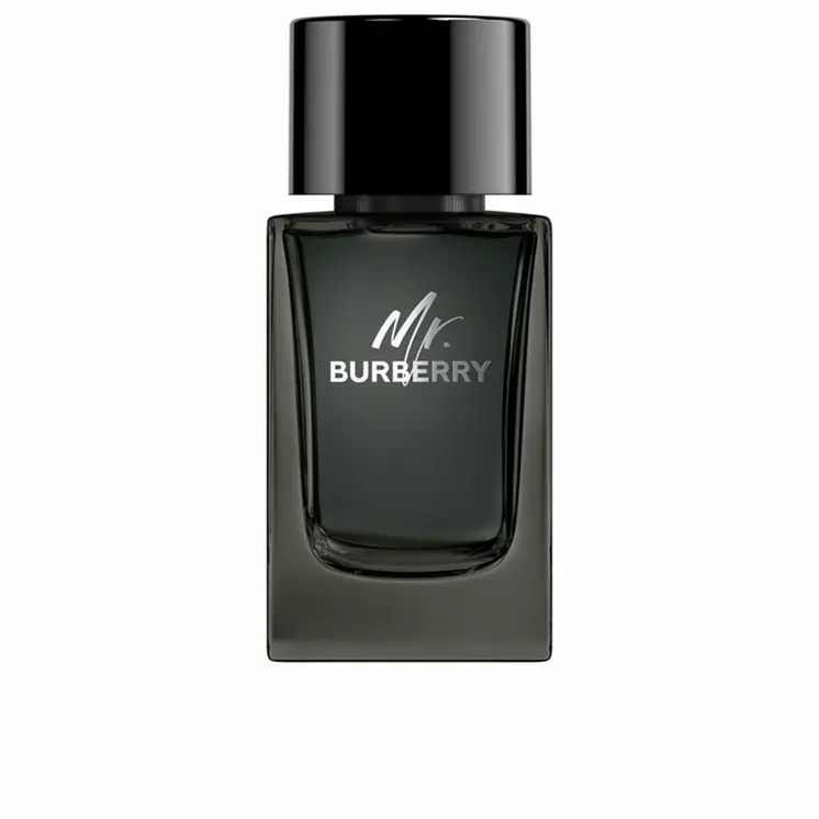 Men's Perfume Burberry Mr. Burberry 100 ml