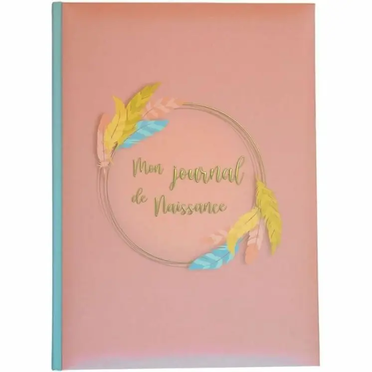 Album Domiva Mon Journal de Naissance