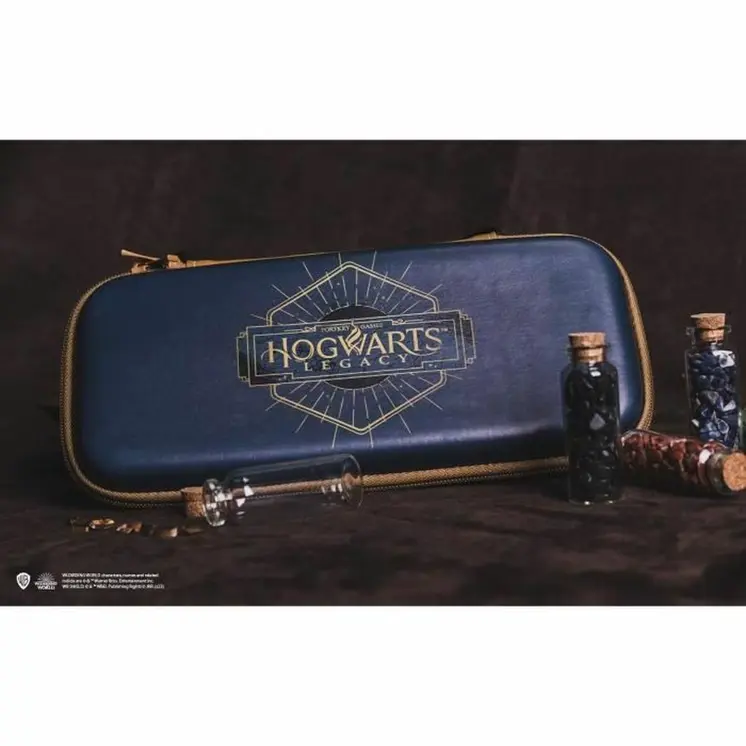 Case for Nintendo Switch