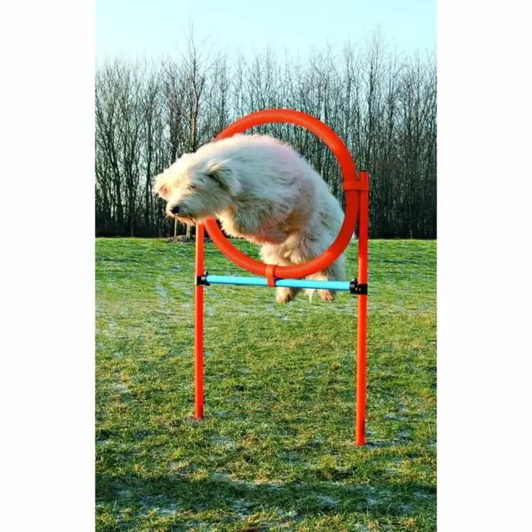 Training toy Trixie