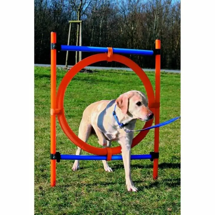 Training toy Trixie