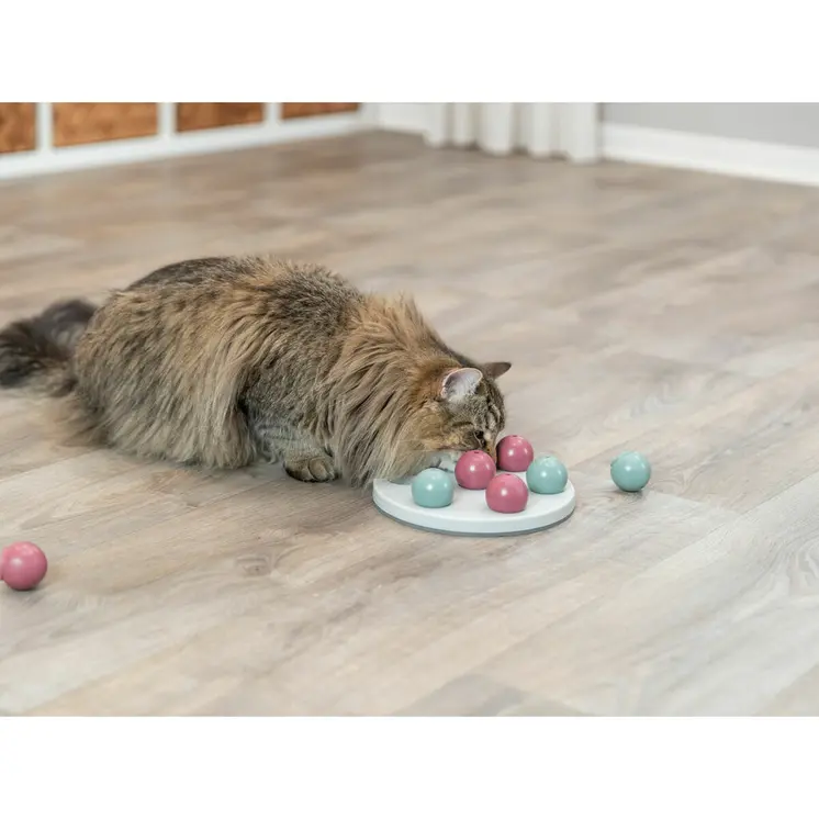 Games Mat and Rewards for Pets Trixie