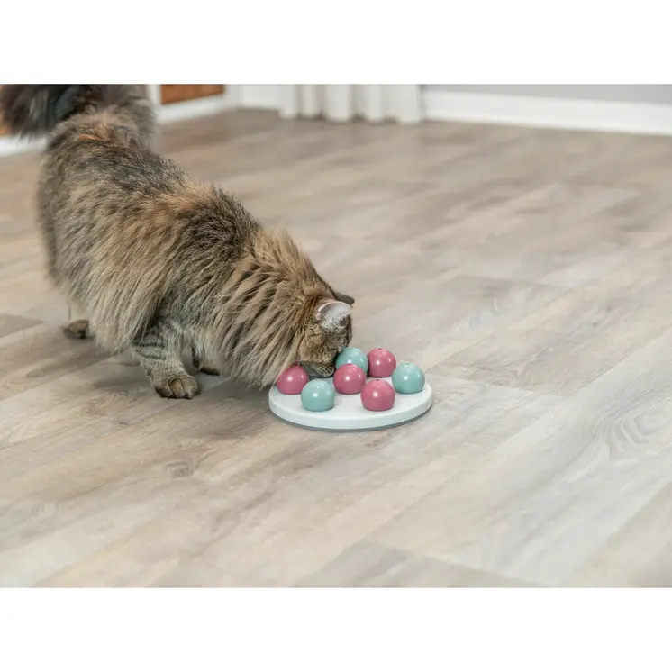 Games Mat and Rewards for Pets Trixie