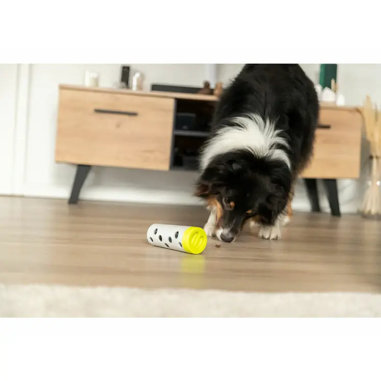 Training toy Trixie Snacks