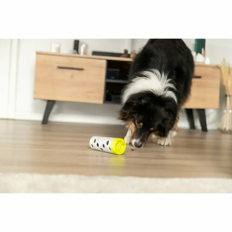 Training toy Trixie Snacks