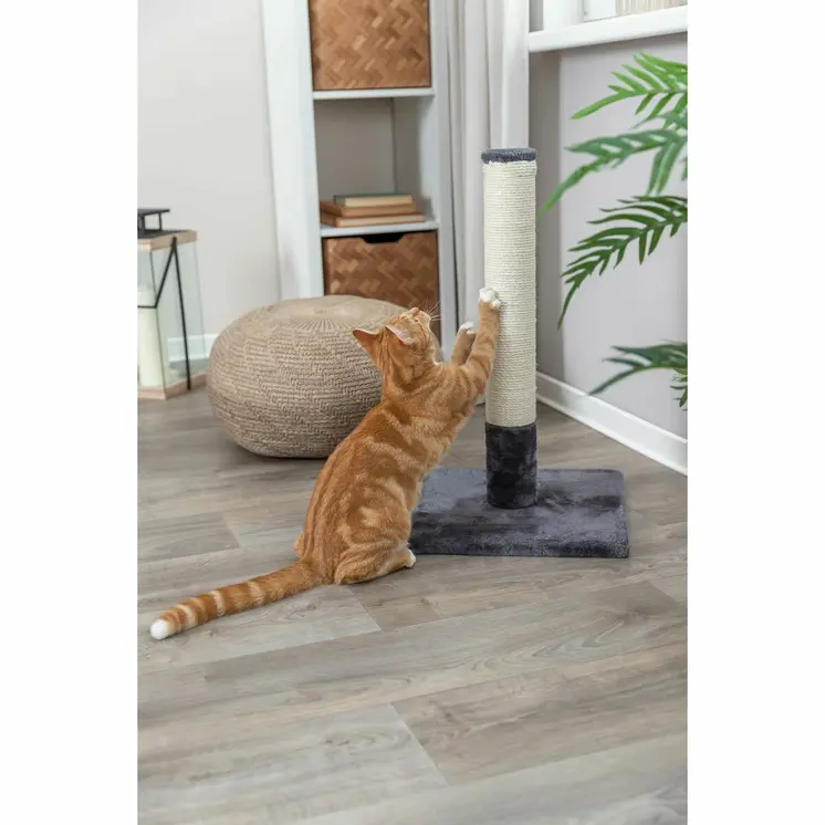 Scratching Post for Cats Trixie