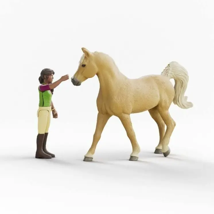 Playset Schleich 42714 Sarah & Mystery 6 Pieces