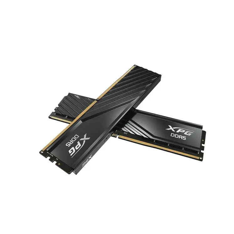 RAM Memory Adata AX5U6000C3016G-DTLABBK 32 GB DDR5 6000 MHz CL40
