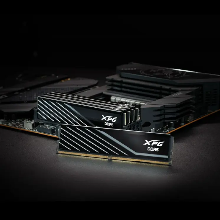 RAM Memory Adata AX5U6000C3016G-DTLABBK 32 GB DDR5 6000 MHz CL40