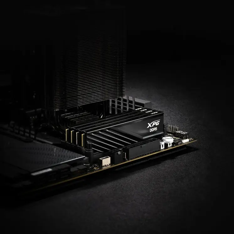 RAM Memory Adata AX5U6000C3016G-DTLABBK 32 GB DDR5 6000 MHz CL40