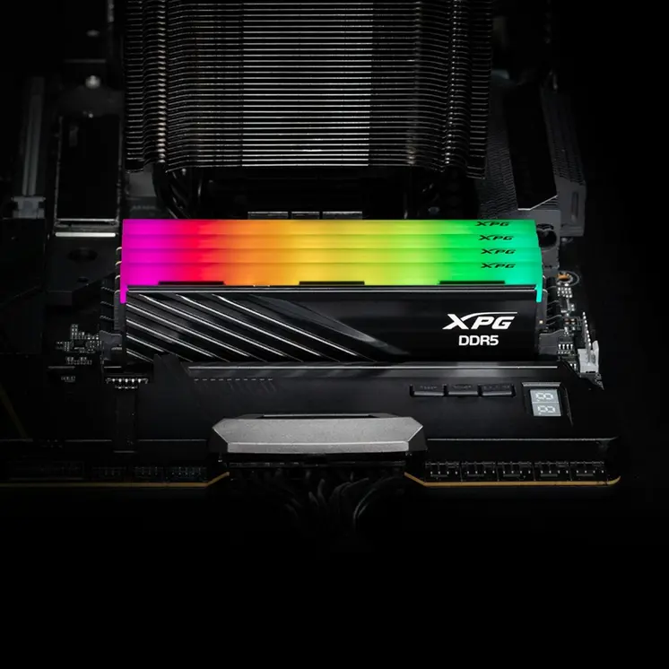 RAM Memory Adata AX5U6000C3016G-DTLABRBK 32 GB DDR5 6000 MHz cl30