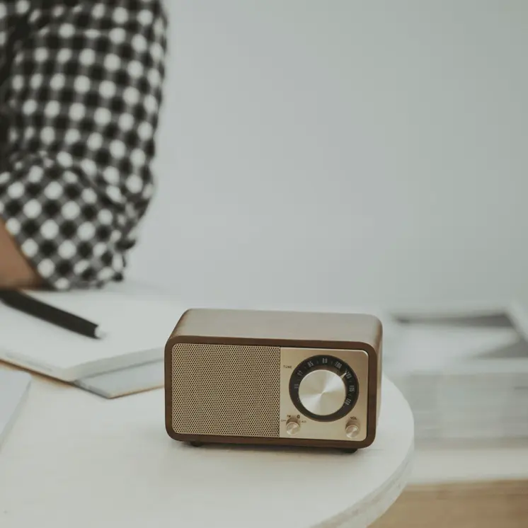 Portable Bluetooth Radio Sangean Retro Wood FM