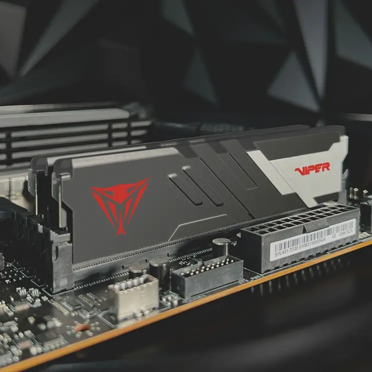 RAM Memory Patriot Memory PVV516G600C36GK