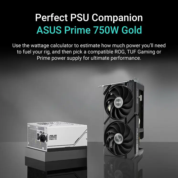 Graphics card Asus 90YV0MI1-M0NA00 8 GB GDDR6