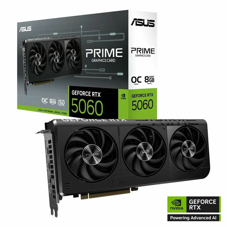 Graphics card Asus 90YV0N10-M0NA00 8 GB GDDR6 GDDR7
