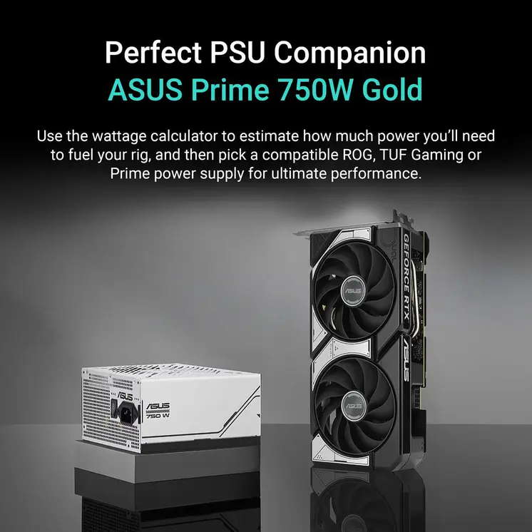 Graphics card Asus 90YV0N12-M0NA00 8 GB GDDR7