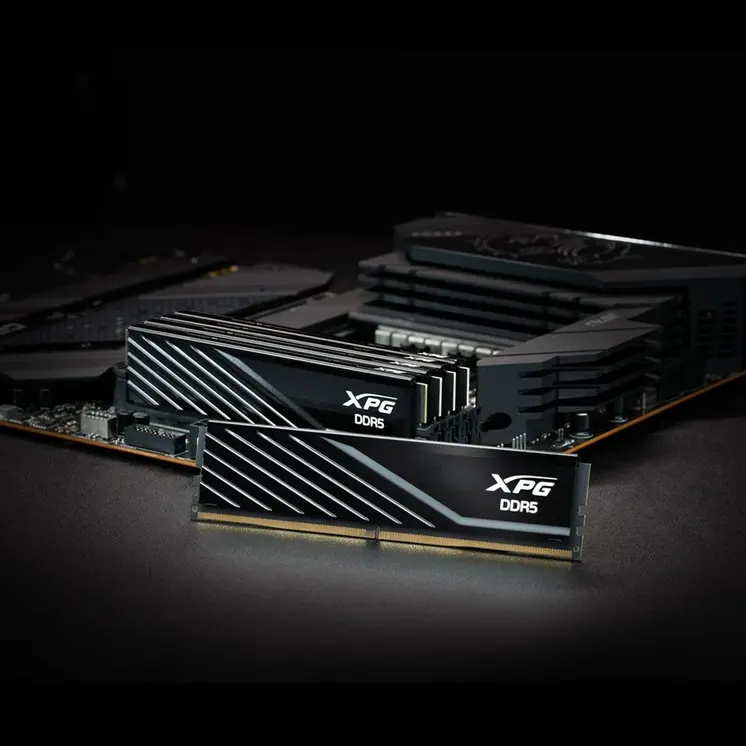 RAM Memory Adata AX5U6000C3616G-DTLABBK