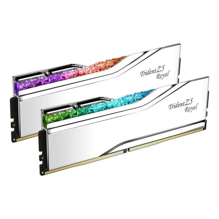 RAM Memory GSKILL F5-8000J3848F24GX2-TR5S