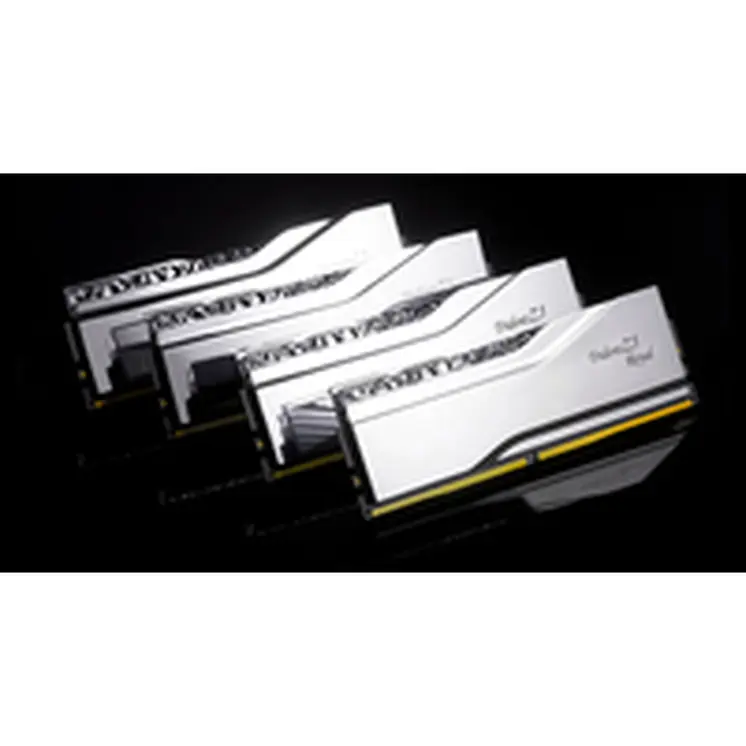 RAM Memory GSKILL F5-6800J3446F48GX2-TR5S
