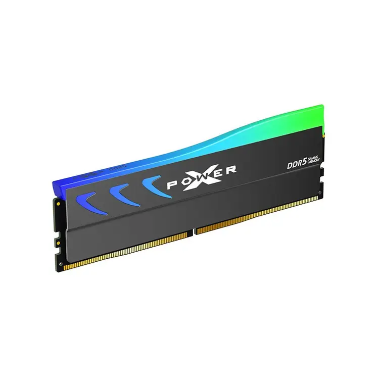 RAM Memory Silicon Power SP064GXLWU60BFDK