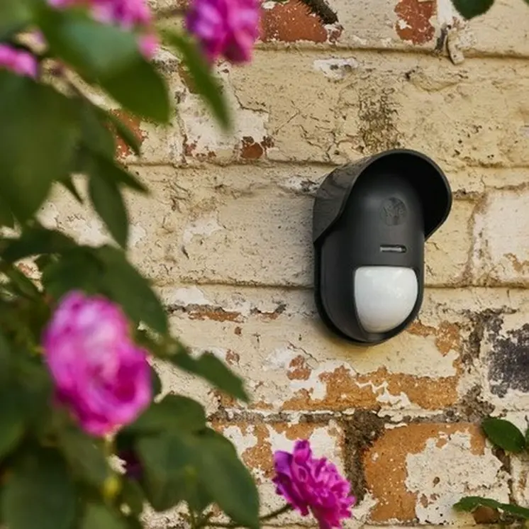 Smart Sensor for Doors and Windows Yale AL-EPIR-1A-G