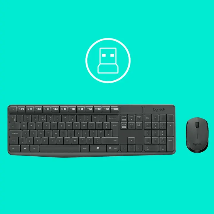 Keyboard and Wireless Mouse Logitech 920-007917 Grey