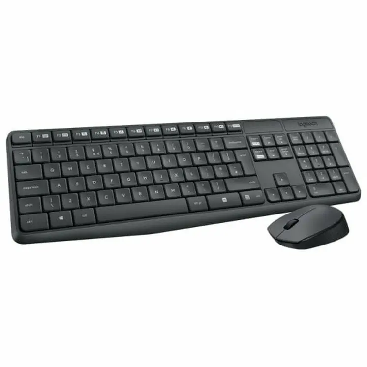Keyboard and Wireless Mouse Logitech 920-007917 Grey