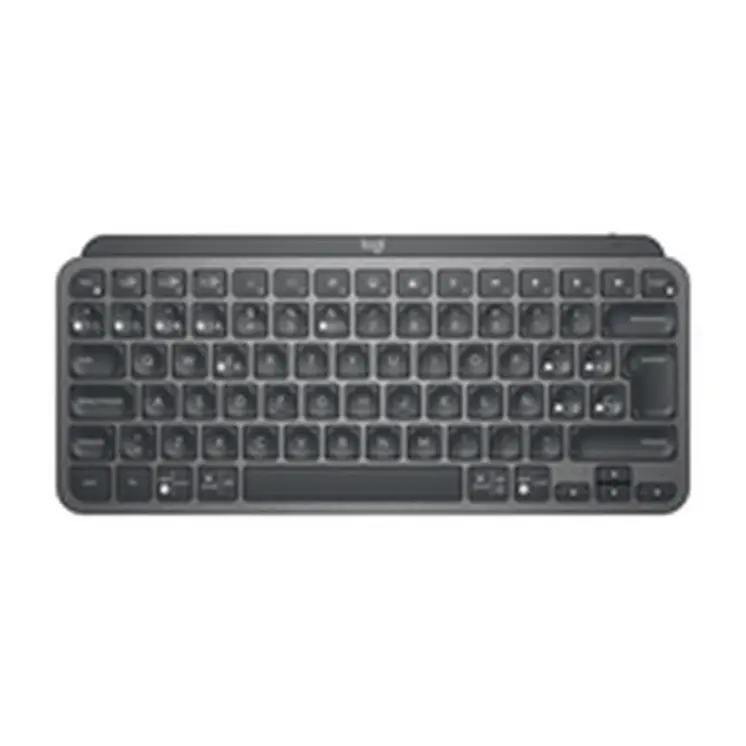 Keyboard Logitech 920-010490 Spanish Qwerty Grey Graphite Spanish QWERTY