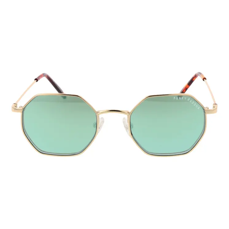 Unisex Sunglasses Funky Buddha FBS2032 49001