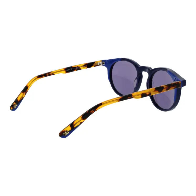 Men's Sunglasses Funky Buddha FBS2034 52001