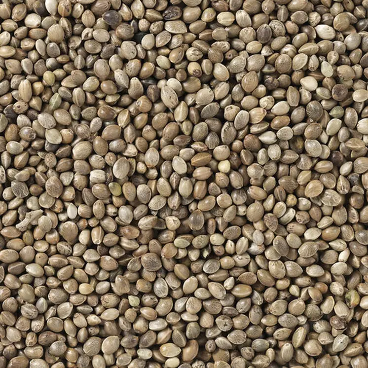 Bird food Deli Nature Premium