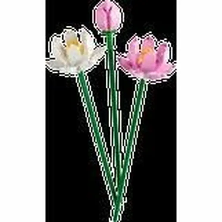 Construction set Lego 40647 Lotus Flower Multicolour