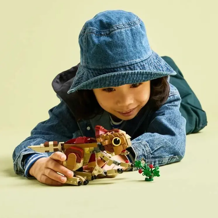 Construction set Lego