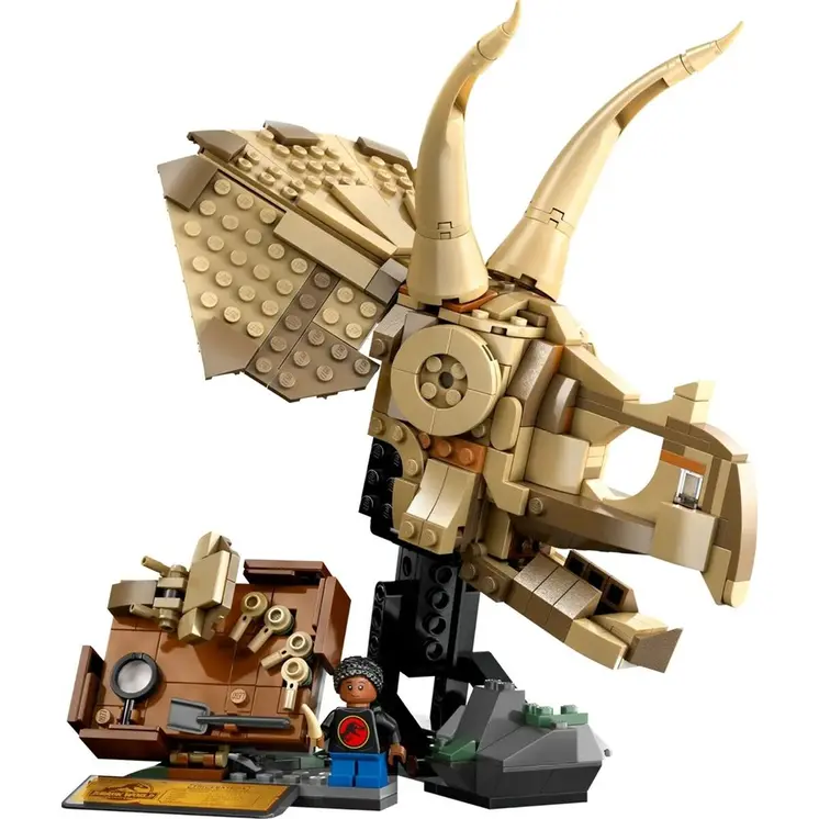 Construction set Lego 76969