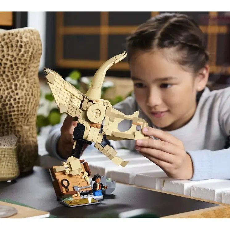 Construction set Lego 76969
