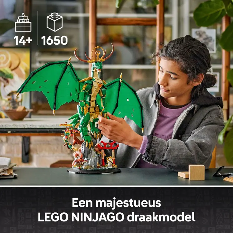 Construction set Lego 71847
