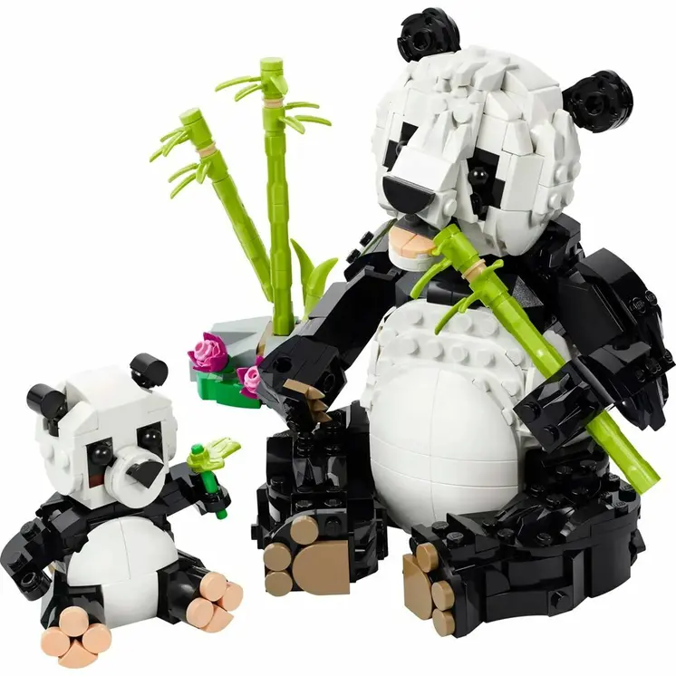 Construction set Lego