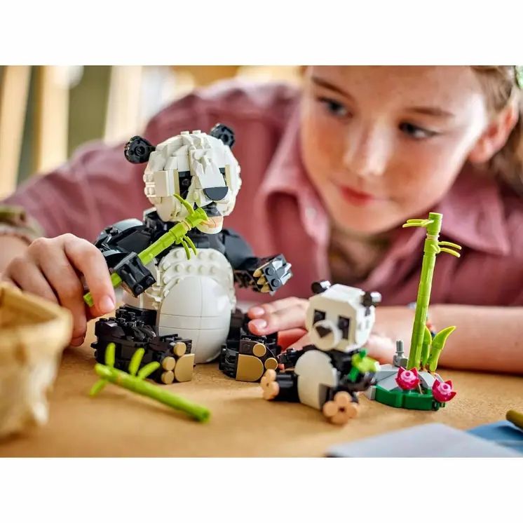 Construction set Lego