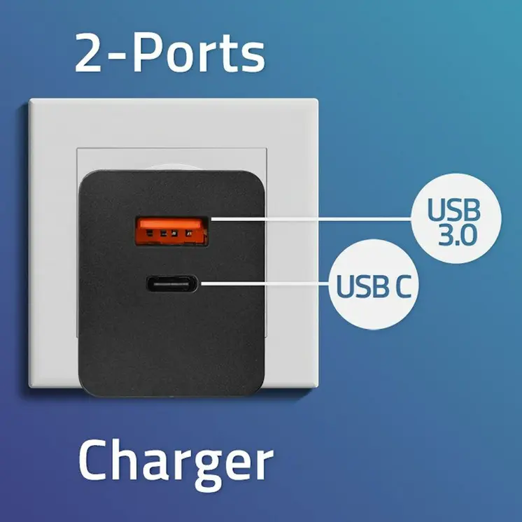 Wall Charger Qoltec 52382 Black 100 W (1 Unit)