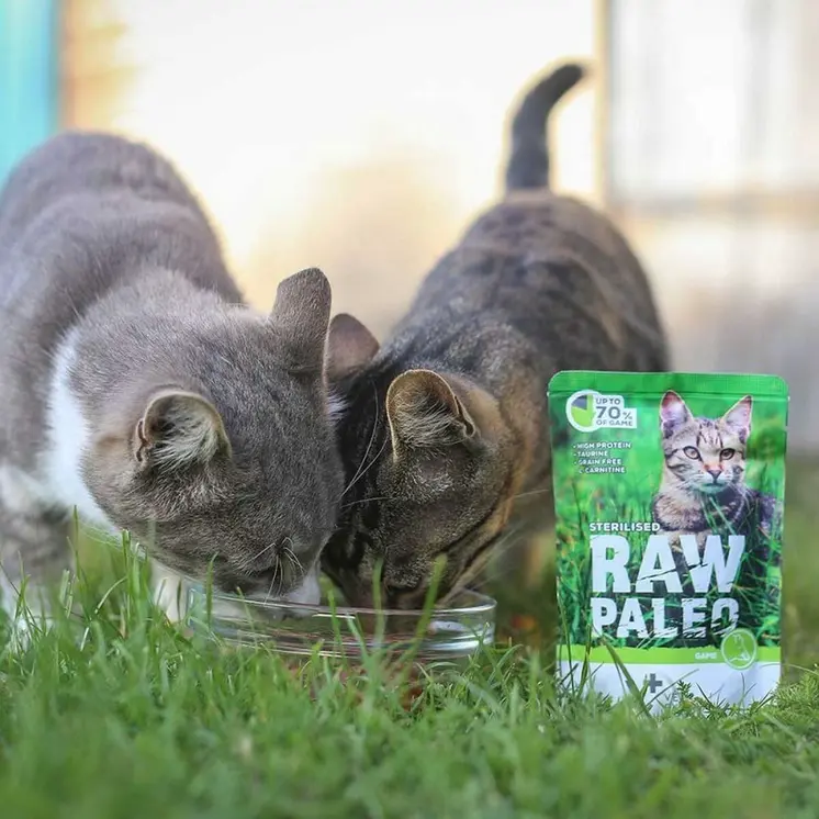 Cat food VETEXPERT Adult Cat 100 g
