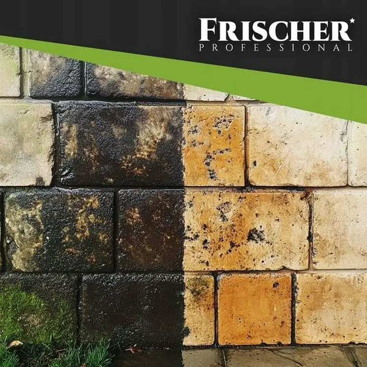 Window Vacuum Cleaner Frischer