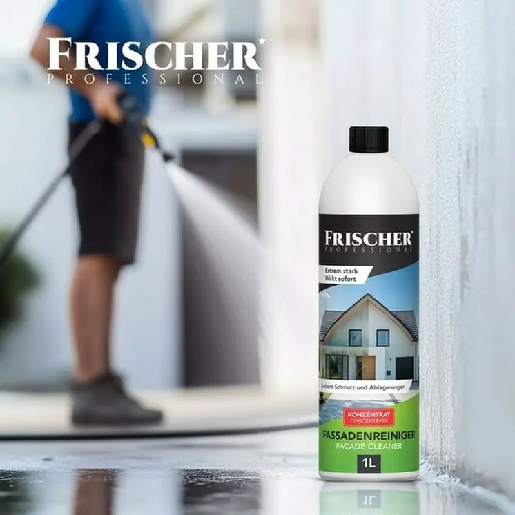 Window Vacuum Cleaner Frischer