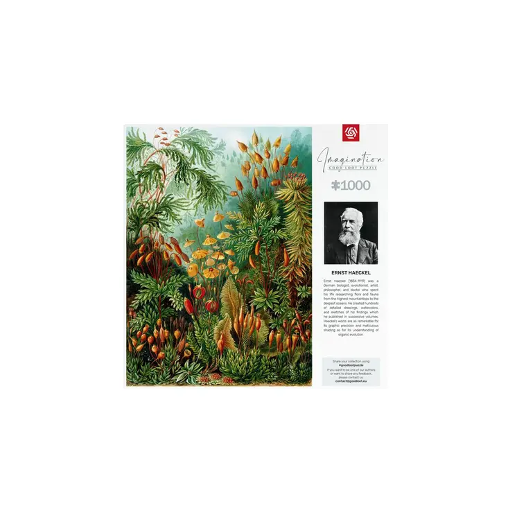Puzzle Cenega Publishing Imagination: Ernst Haeckel Muscinae 1000 Pieces