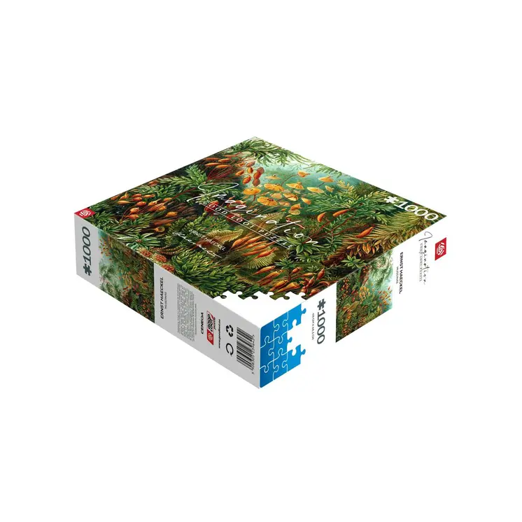 Puzzle Cenega Publishing Imagination: Ernst Haeckel Muscinae 1000 Pieces