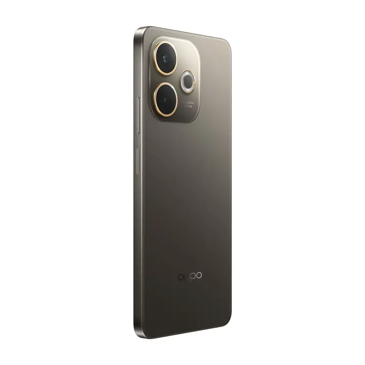 Smartphone Oppo 110010348094 6,67" Octa Core 8 GB RAM 256 GB Black